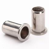 Flat Head Round Body Rivet Nut